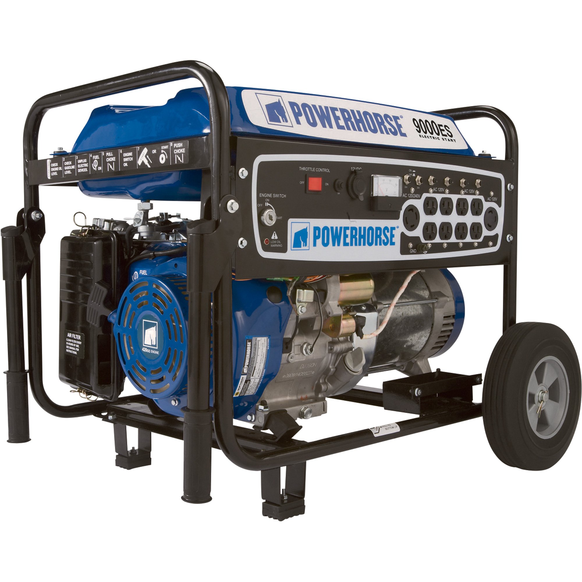 Powerhorse Portable Generator — 9000 Surge Watts, 7250 Rated Watts, Electric Start